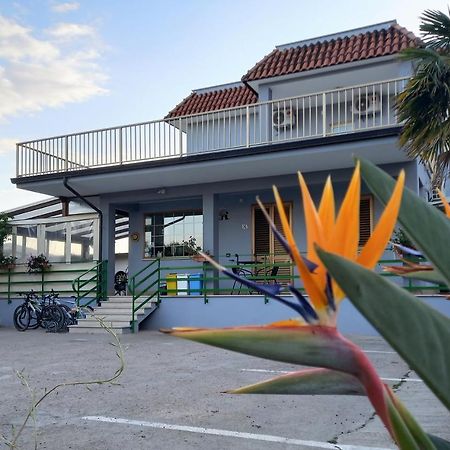 Affittacamere Il Tulipano Beach Formia Exteriör bild