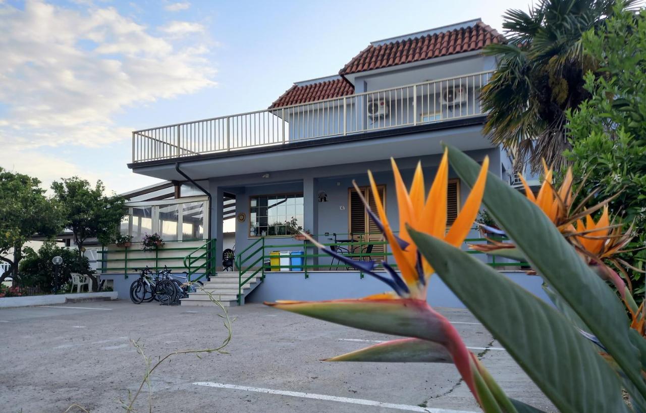 Affittacamere Il Tulipano Beach Formia Exteriör bild